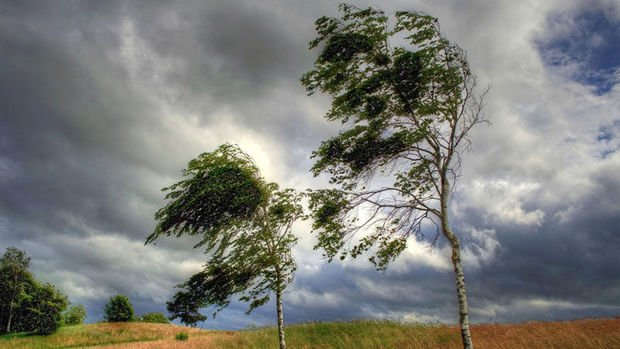 Küləkli hava şəraiti haqqında məlumat