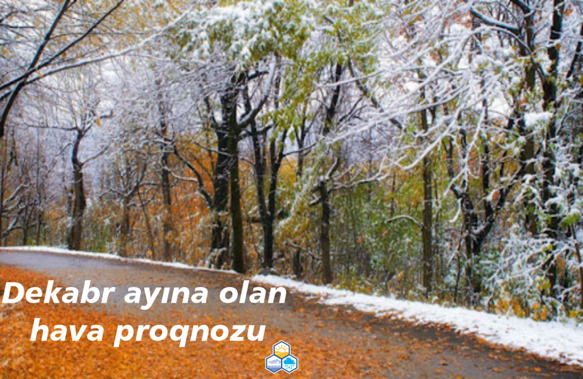 DEKABR ayına olan hava proqnozu