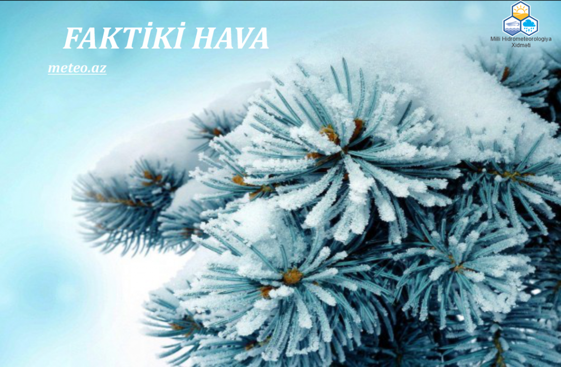 Fevralın 20-si saat 12:00-a olan faktiki hava